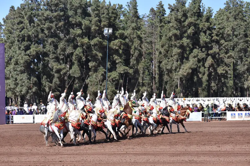 Tbourida fantasia print — Moroccan horsemen charging through gunpowder smoke (BWK-016), photograph by Saida