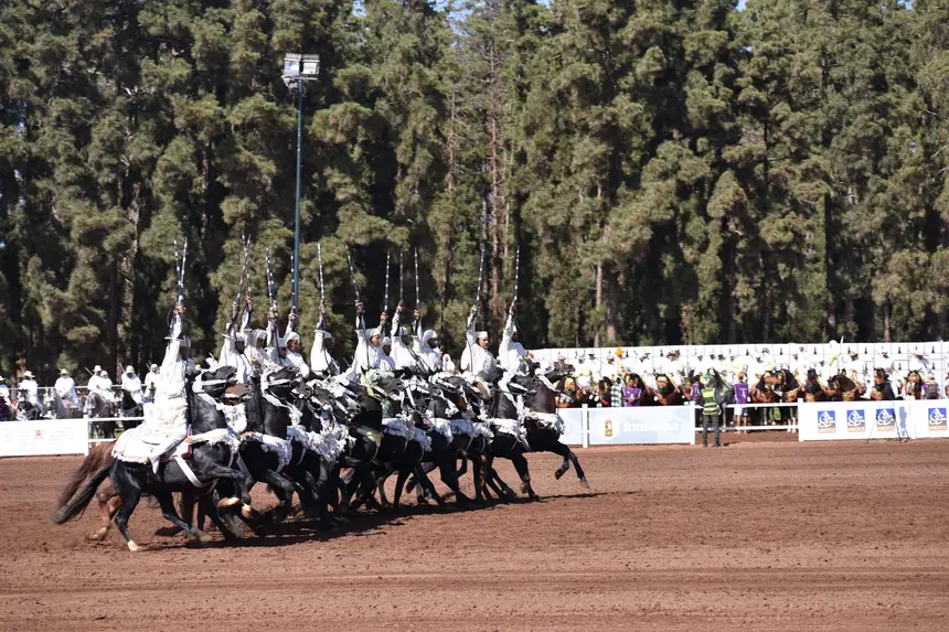Tbourida fantasia print — The White Charge (BWK-018), photograph by Saida