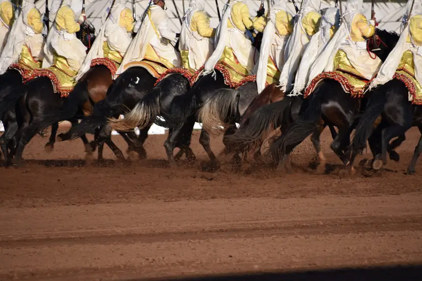 Tbourida fantasia print — Moroccan horsemen charging through gunpowder smoke (BWK-035), photograph by Saida