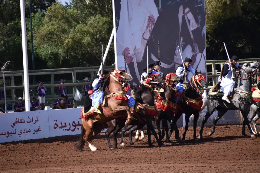 Tbourida fantasia print — Moroccan horsemen charging through gunpowder smoke (BWK-072), photograph by Saida