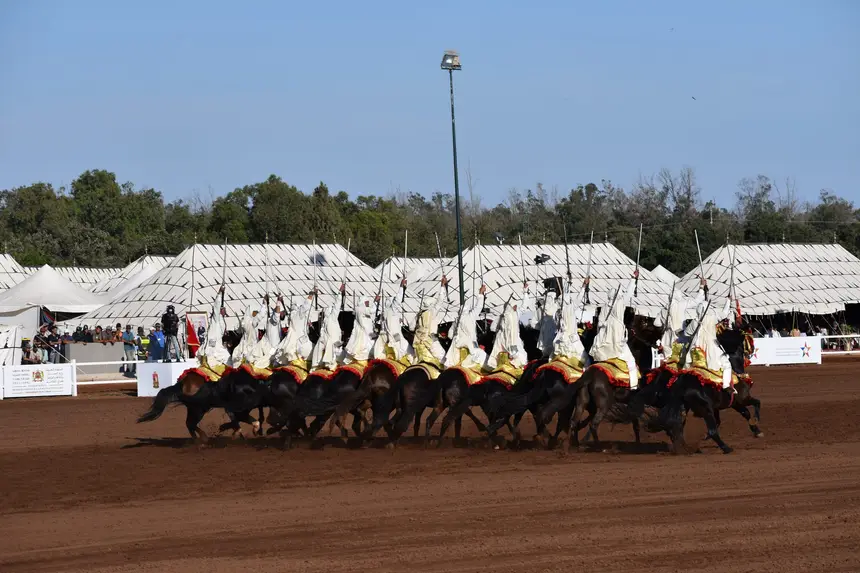 Tbourida fantasia print — Moroccan horsemen charging through gunpowder smoke (BWK-079), photograph by Saida