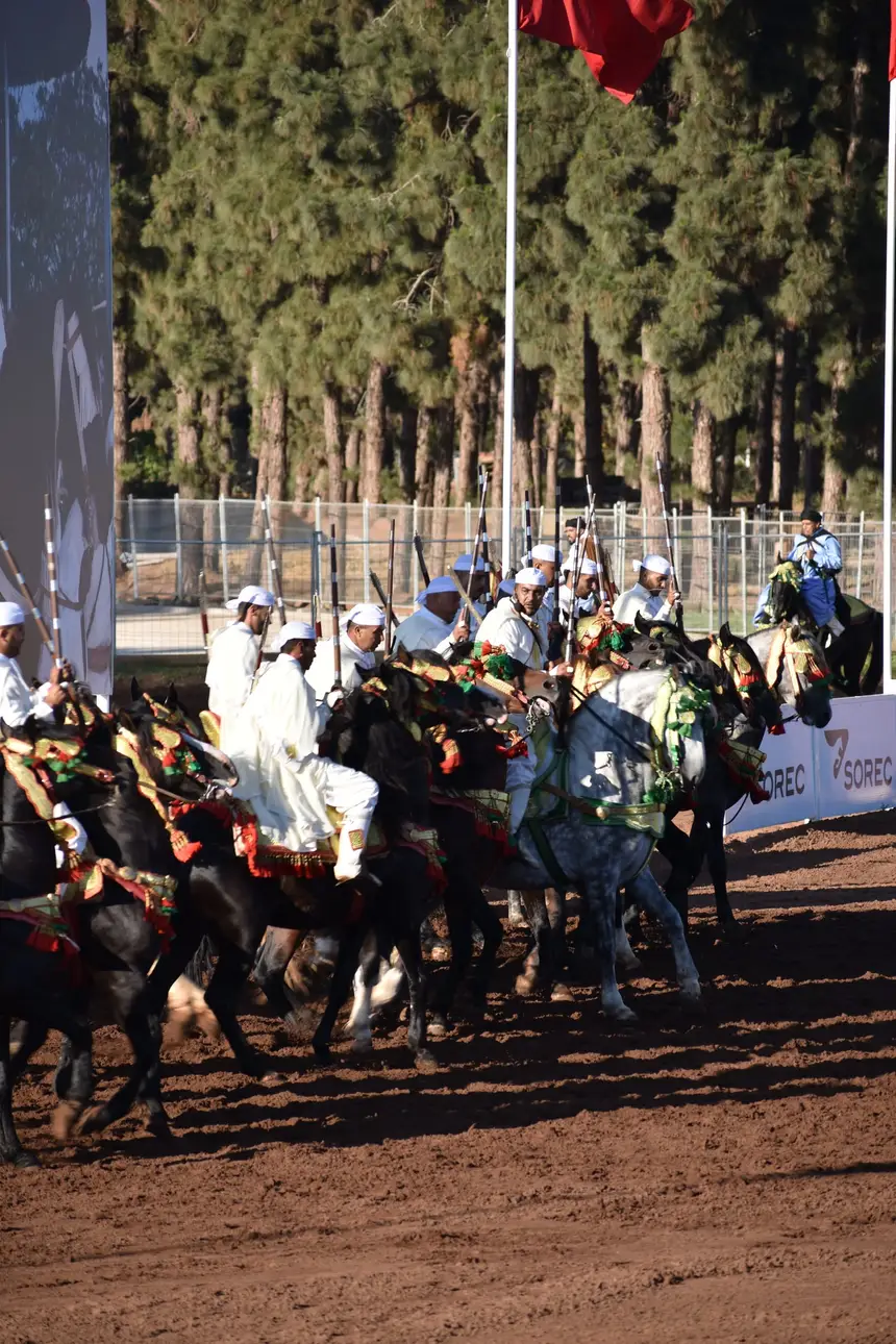 Tbourida fantasia print — Moroccan horsemen charging through gunpowder smoke (BWK-103), photograph by Saida