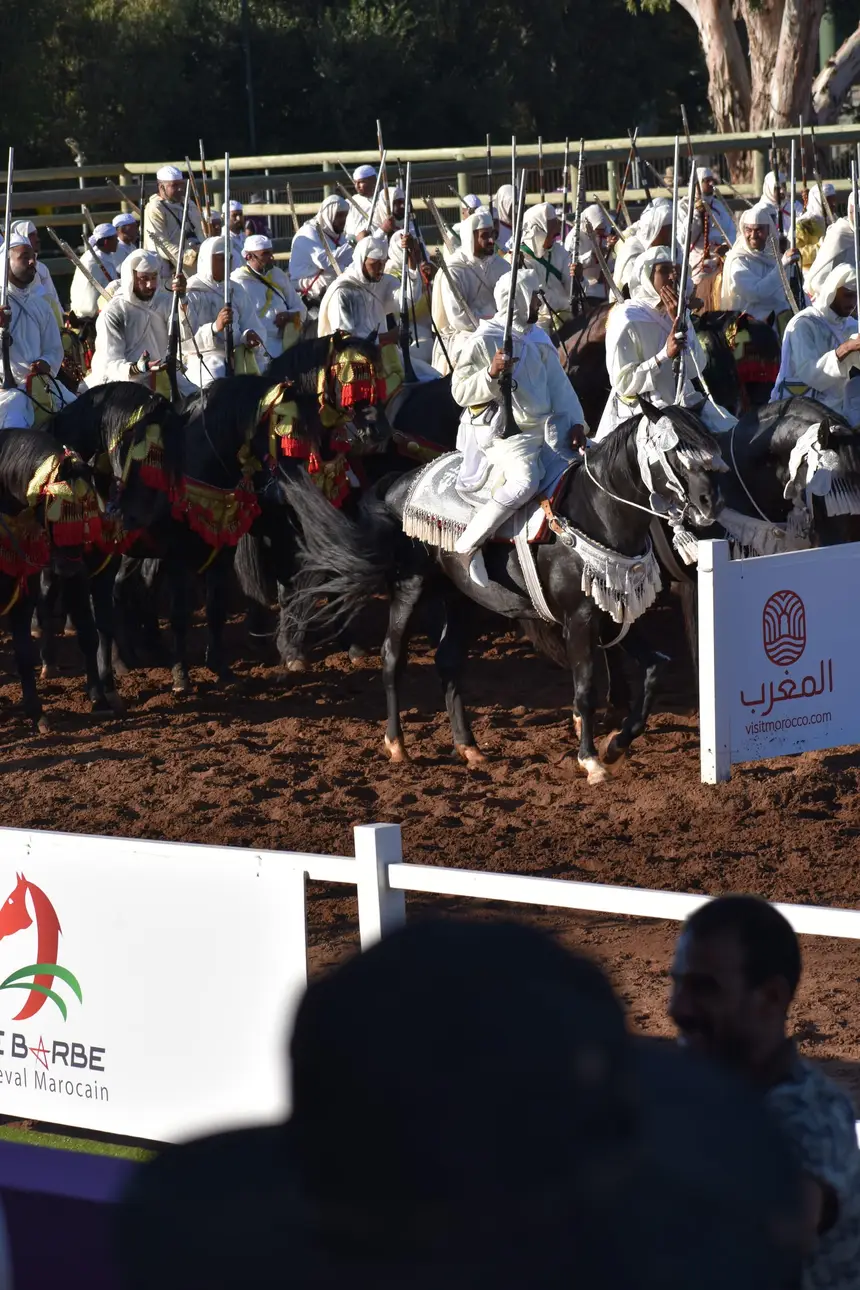 Tbourida fantasia print — Moroccan horsemen charging through gunpowder smoke (BWK-117), photograph by Saida