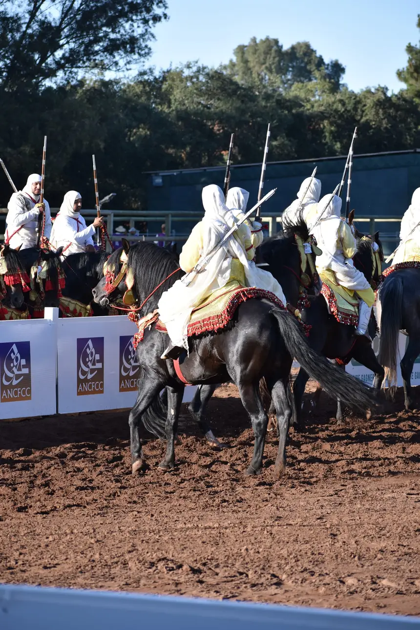 Tbourida fantasia print — Moroccan horsemen charging through gunpowder smoke (BWK-147), photograph by Saida