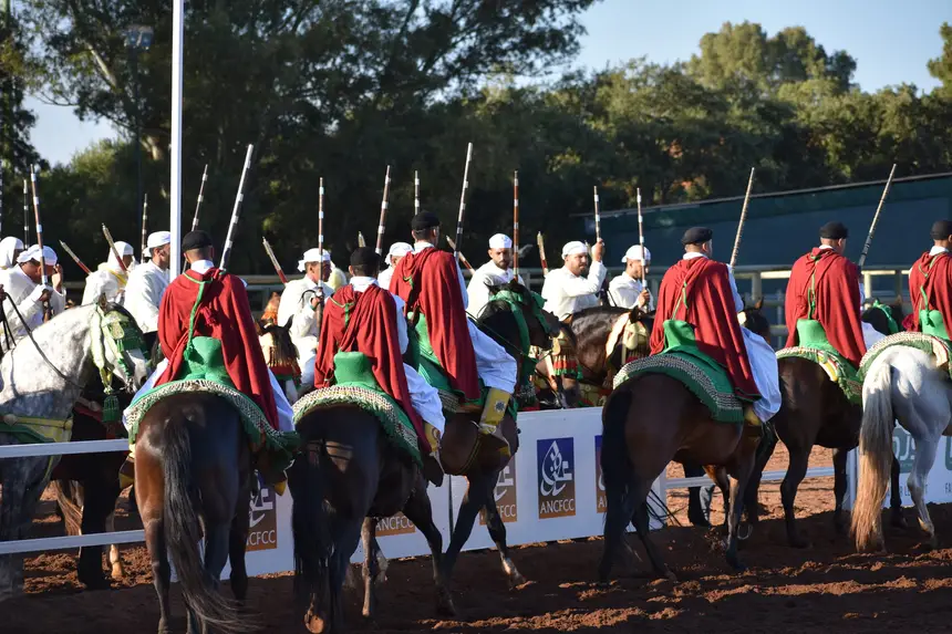 Tbourida fantasia print — Moroccan horsemen charging through gunpowder smoke (BWK-161), photograph by Saida