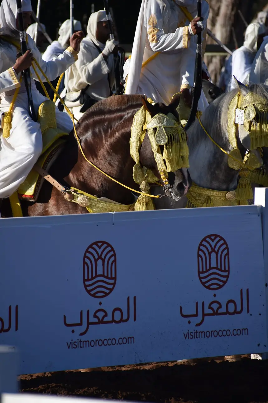 Tbourida fantasia print — Moroccan horsemen charging through gunpowder smoke (BWK-168), photograph by Saida