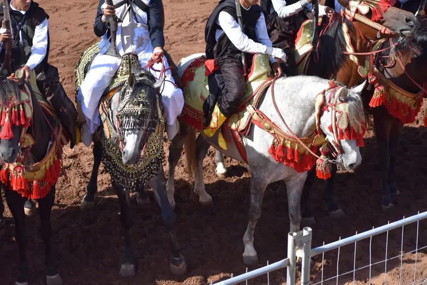 Tbourida fantasia print — Moroccan horsemen charging through gunpowder smoke (BWK-228), photograph by Saida