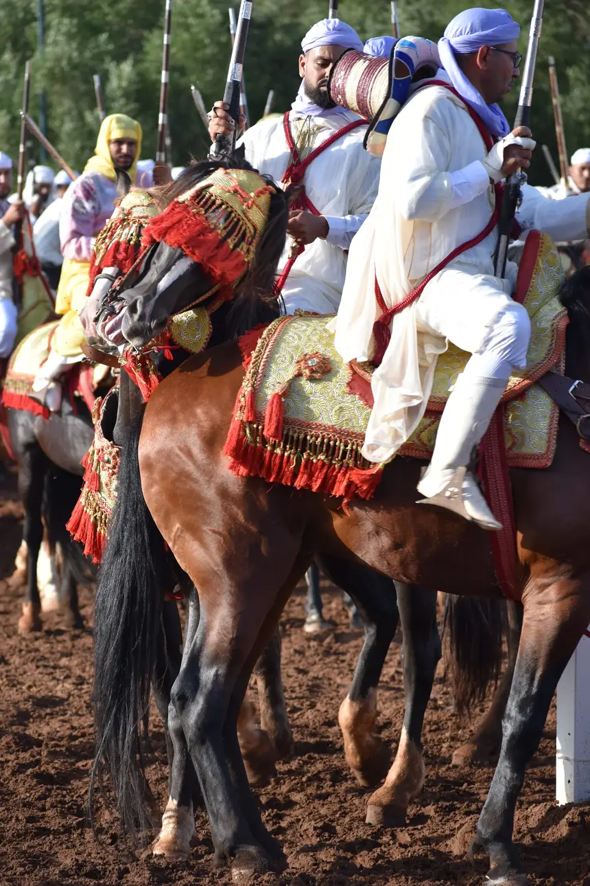 Tbourida fantasia print — Moroccan horsemen charging through gunpowder smoke (BWK-387), photograph by Saida