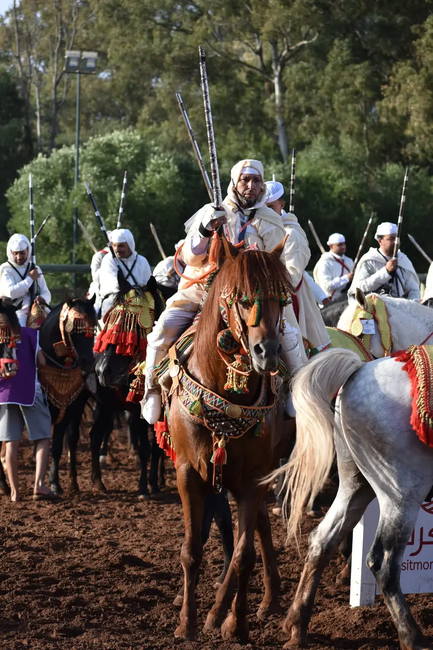 Tbourida fantasia print — Moroccan horsemen charging through gunpowder smoke (BWK-455), photograph by Saida