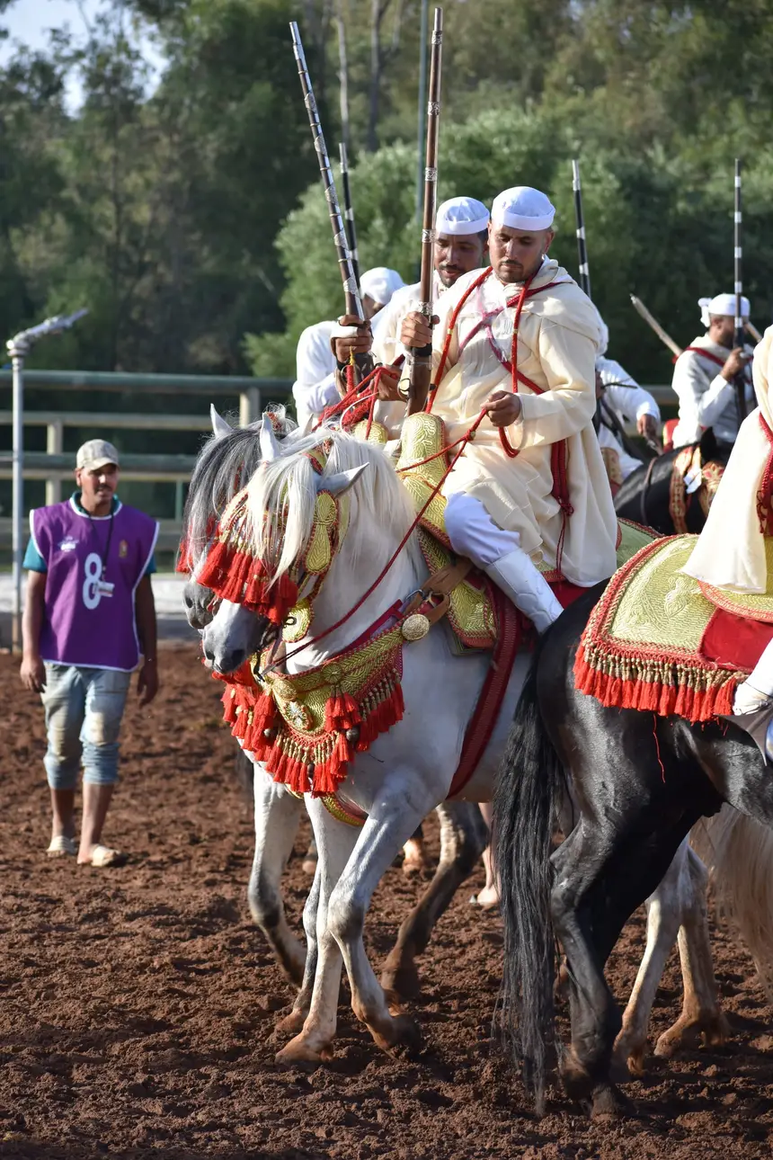 Tbourida fantasia print — Moroccan horsemen charging through gunpowder smoke (BWK-457), photograph by Saida