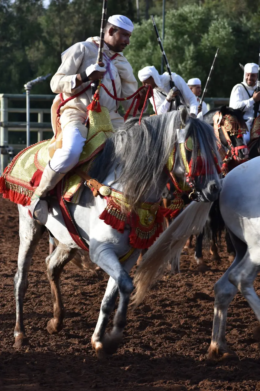 Tbourida fantasia print — Moroccan horsemen charging through gunpowder smoke (BWK-459), photograph by Saida