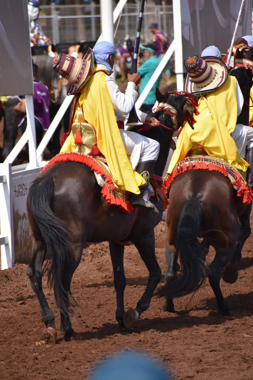 Tbourida fantasia print — Moroccan horsemen charging through gunpowder smoke (BWK-515), photograph by Saida