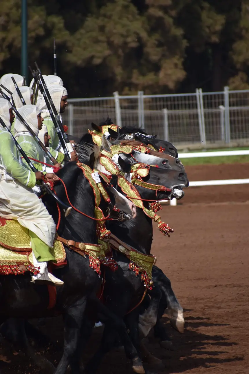 Tbourida fantasia print — Moroccan horsemen charging through gunpowder smoke (BWK-647), photograph by Saida