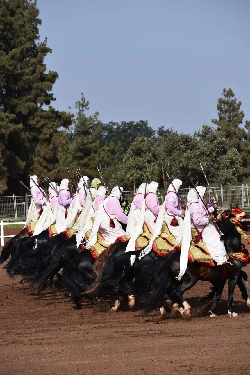 Tbourida fantasia print — Moroccan horsemen charging through gunpowder smoke (BWK-658), photograph by Saida